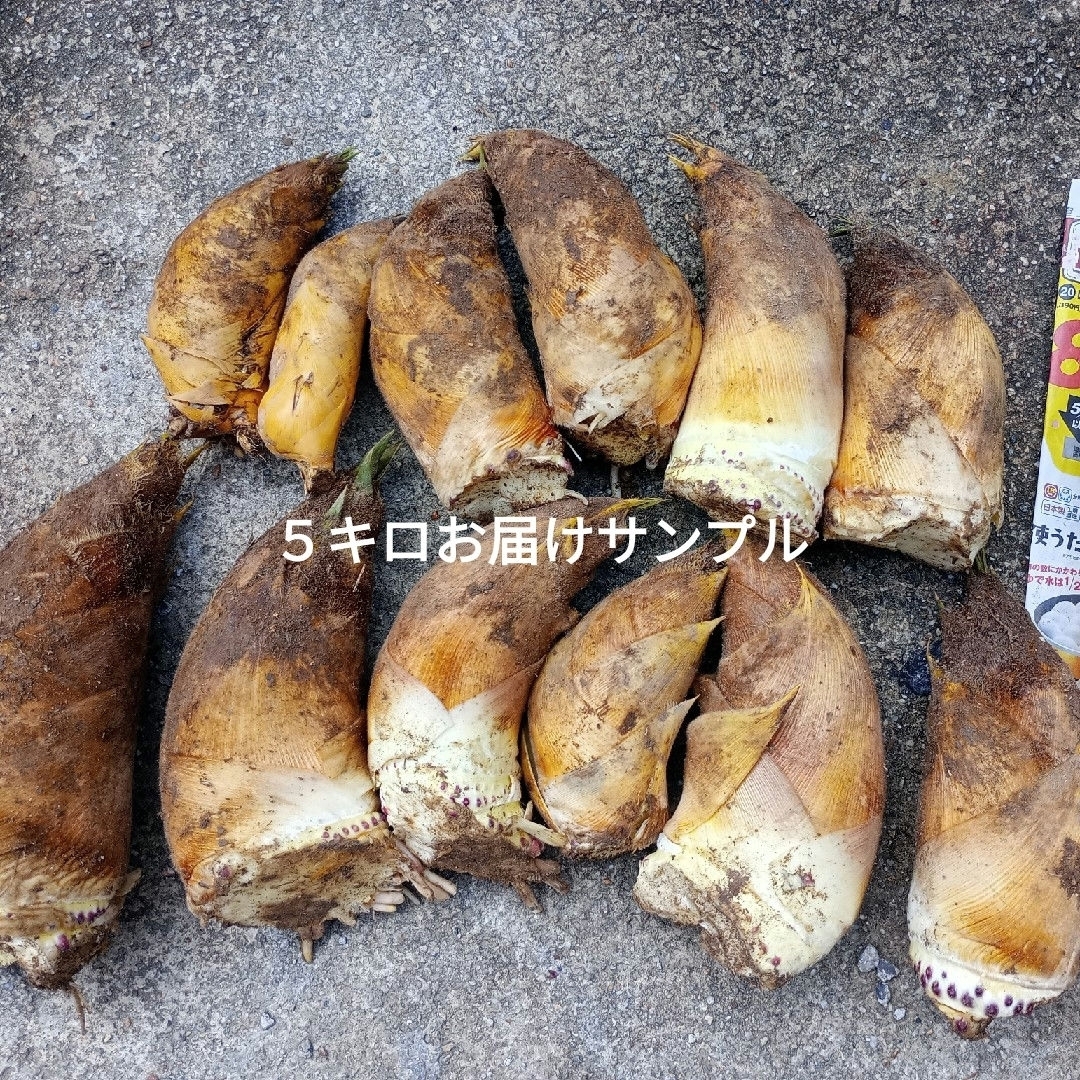 朝掘り岡中タケノコ 当日午前中順次発送 2キロの通販 by みいこ 朝掘り岡中タケノコ 当日午前中順次発送 2キロの通販 by みいこ