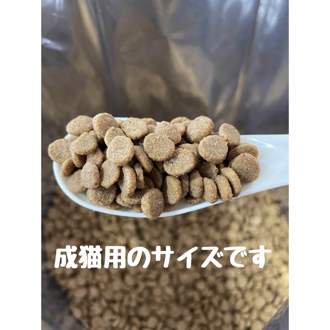 Nutro(TM) - ニュートロシュプレモ 子猫用 (チキン&サーモン Nutro(TM) - ニュートロシュプレモ 子猫用 (チキン&サーモン