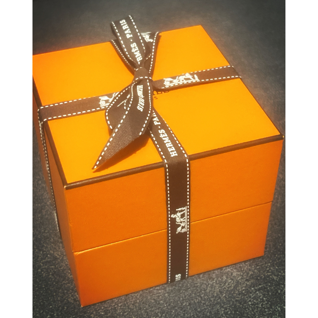 HERMES - HERMES エルメス シェーヌダンクル GM 12コマ 新品 の HERMES - HERMES エルメス シェーヌダンクル GM 12コマ 新品 の