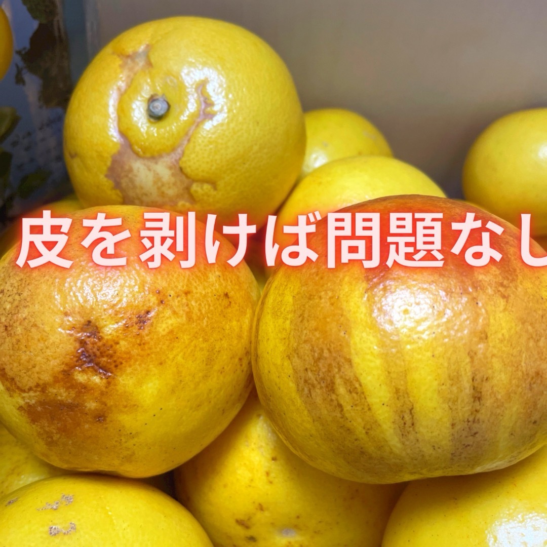 大人気 訳あり文旦 20kg 柑橘 01の通販 by 文旦屋甘太くん|ラクマ 大人気 訳あり文旦 20kg 柑橘 01の通販 by 文旦屋甘太くん|ラクマ
