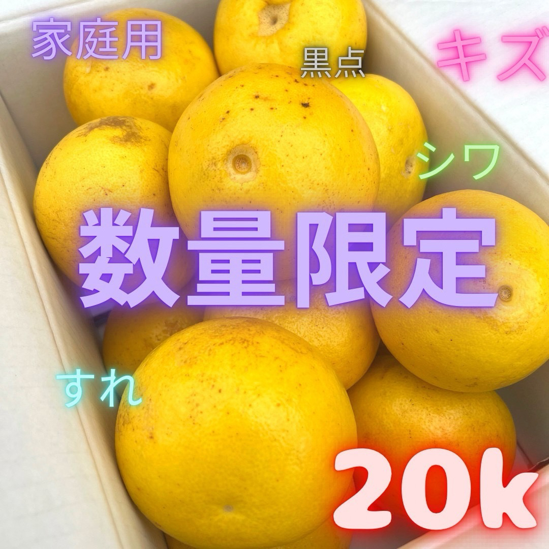 大人気 訳あり文旦 20kg 柑橘 01の通販 by 文旦屋甘太くん|ラクマ 大人気 訳あり文旦 20kg 柑橘 01の通販 by 文旦屋甘太くん|ラクマ