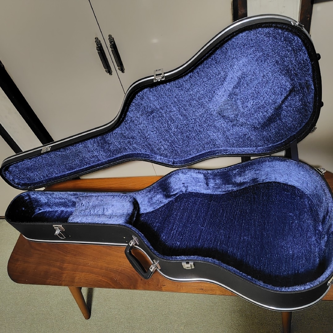 MORRIS - モーリス Morris TF-50SP アコースティックギター MORRIS - モーリス Morris TF-50SP アコースティックギター