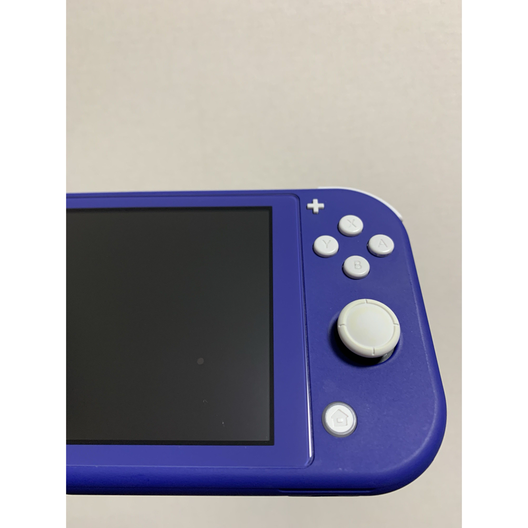 Nintendo Switch - Nintendo Switch Lite ブルー SDカード等 Nintendo Switch - Nintendo Switch Lite ブルー SDカード等
