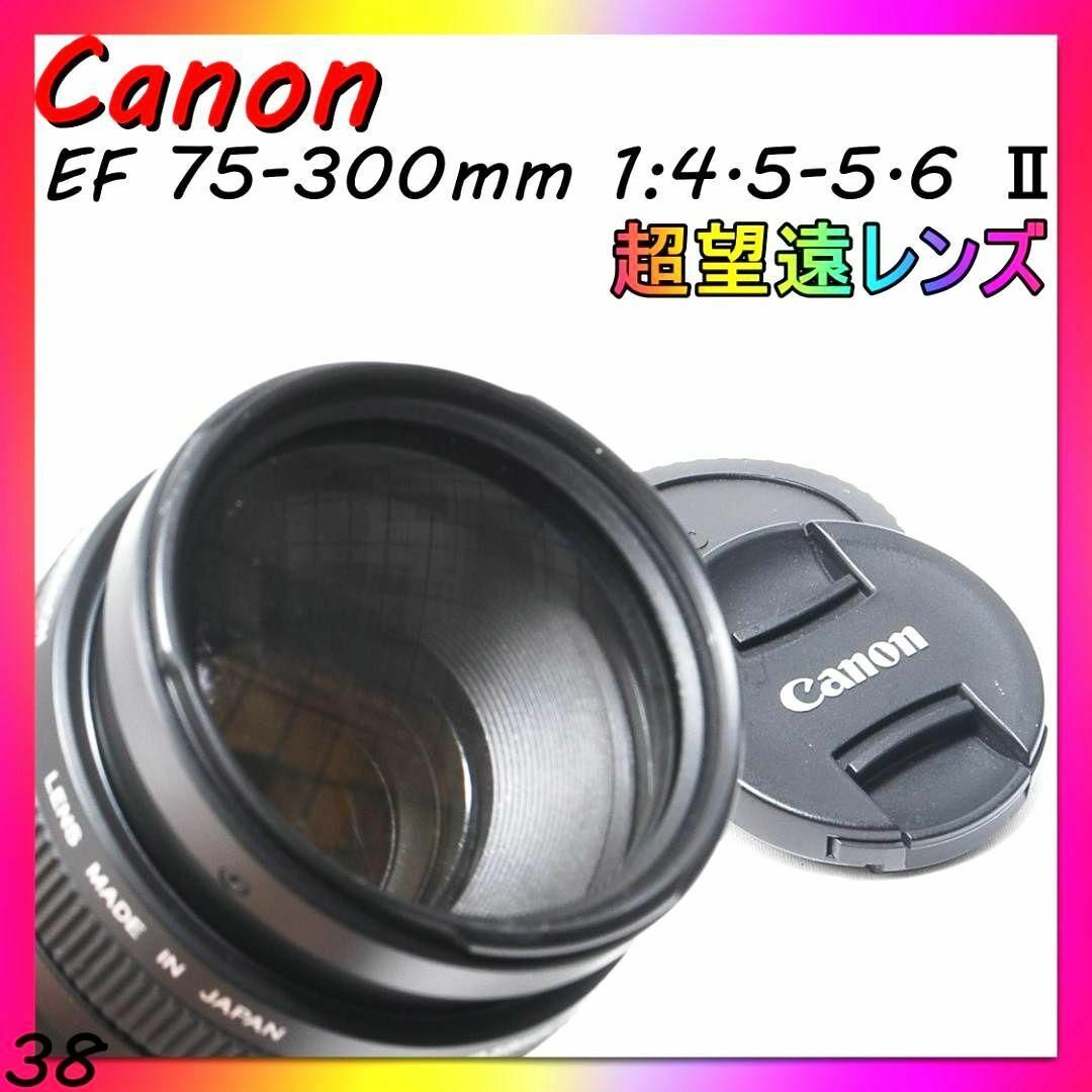 ♡動作OK♡ Canon EF 75-300ｍｍ F4.5-5.6 Ⅱ USM