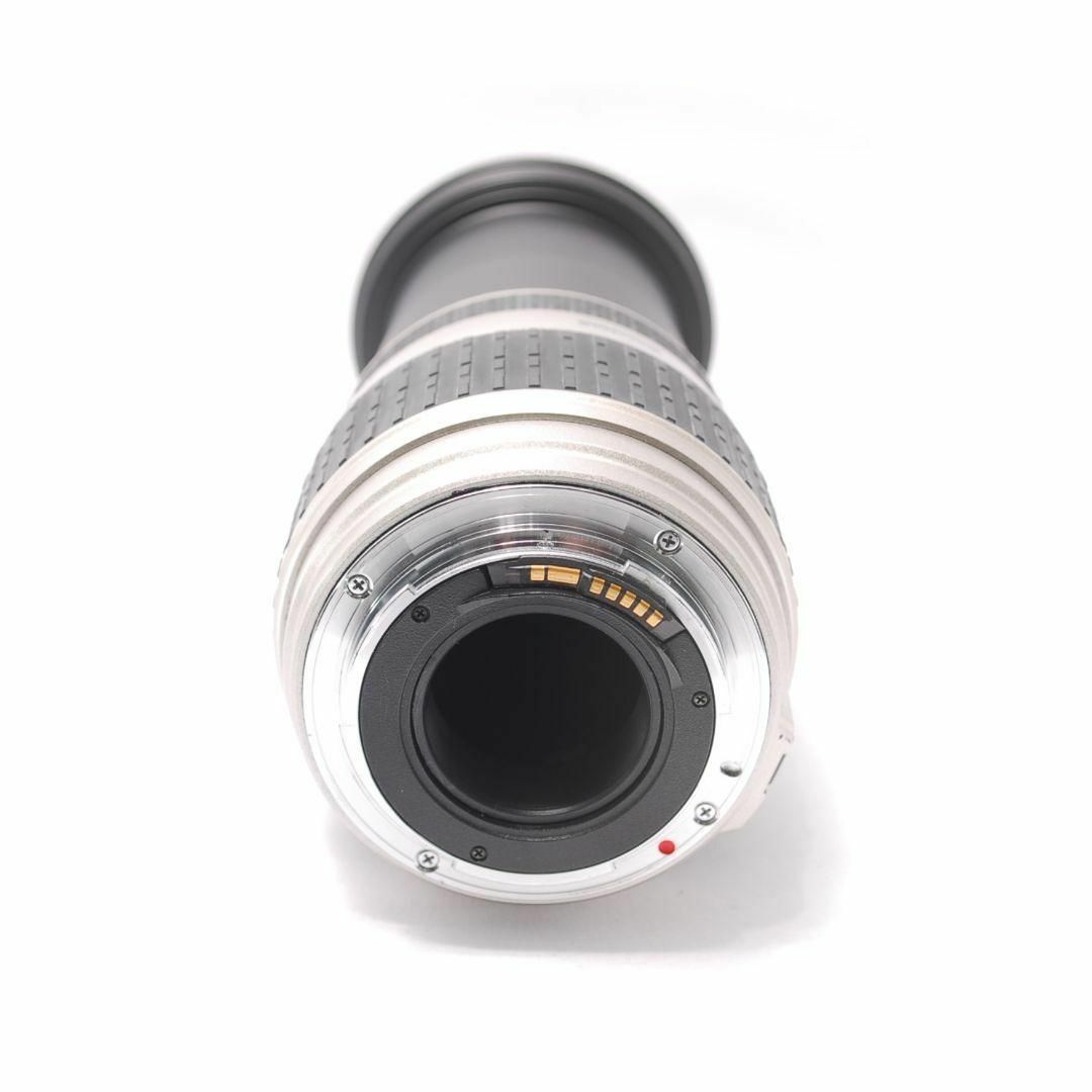 SIGMA - ❤即購入1000円OFF❤ シグマ SIGMA 28-300mm キャノンEF SIGMA - ❤即購入1000円OFF❤ シグマ SIGMA 28-300mm キャノンEF