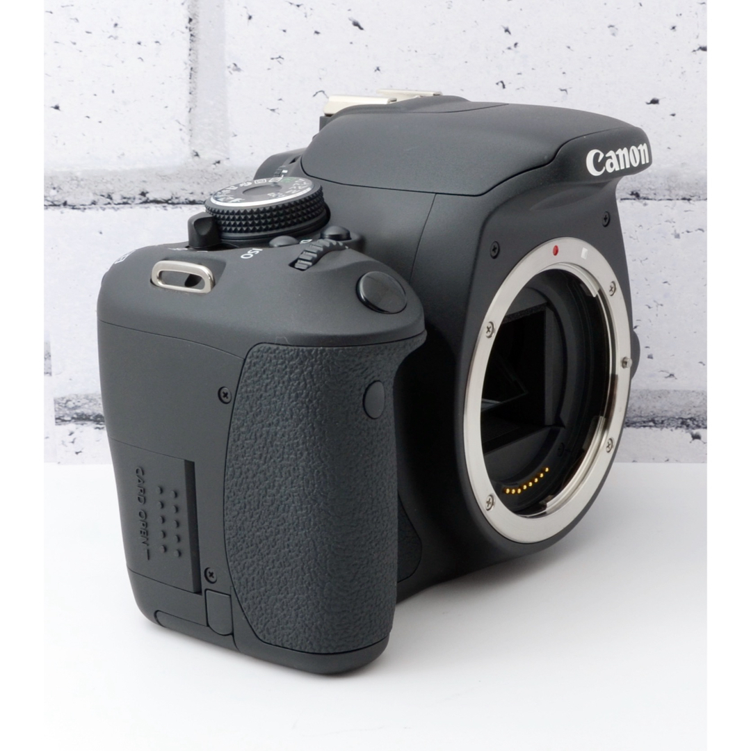 Canon - S数約20回!Canon kiss X5 Wズームレンズキット○付属品 Canon - S数約20回!Canon kiss X5 Wズームレンズキット○付属品