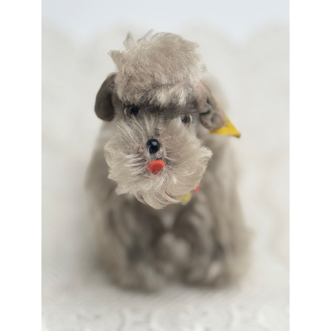 Steiff - シュタイフ☆Poodle Snobby 完品☆プードルのスノビー Steiff - シュタイフ☆Poodle Snobby 完品☆プードルのスノビー