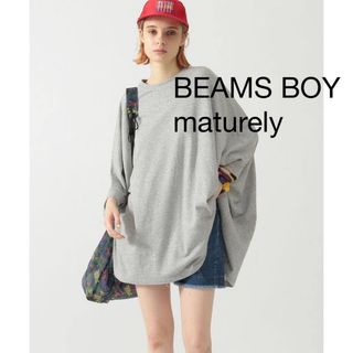 BEAMS BOY - beams boy GREGORY 別注 アニマル リュック BEAMS BOY - beams boy GREGORY 別注 アニマル リュック