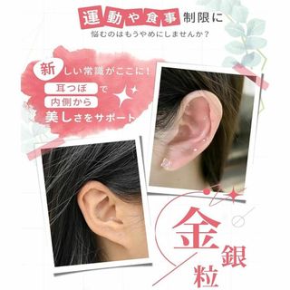耳つぼ　ジュエリー 200粒　銀メッキ シール　ダイエット　健康　サポート(その他)