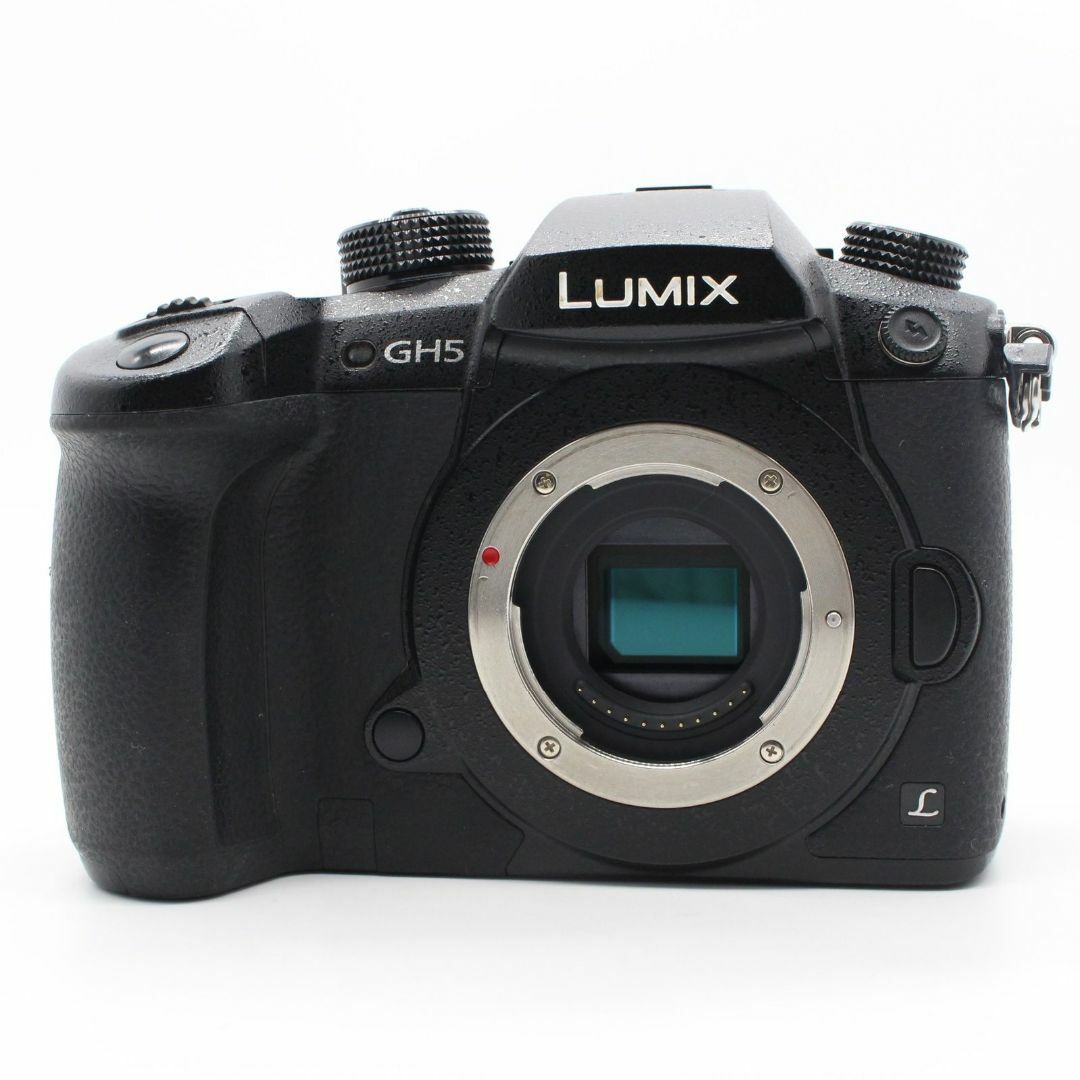 Panasonic LUMIX DC-GH5 ボディ ショット数3244回の通販 by Panasonic LUMIX DC-GH5 ボディ ショット数3244回の通販 by