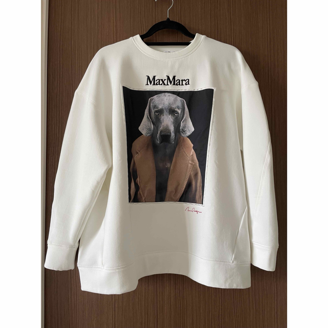 Max Mara - Max Mara BACCO バッコ コットン ジャージー Max Mara - Max Mara BACCO バッコ コットン ジャージー
