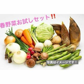 農家直送】高知県特産‼️葉ニンニク 400g 即購入OK wOeの通販 by 農家直送】高知県特産‼️葉ニンニク 400g 即購入OK wOeの通販 by