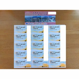 【当日発送可】富士急行　株主優待(その他)