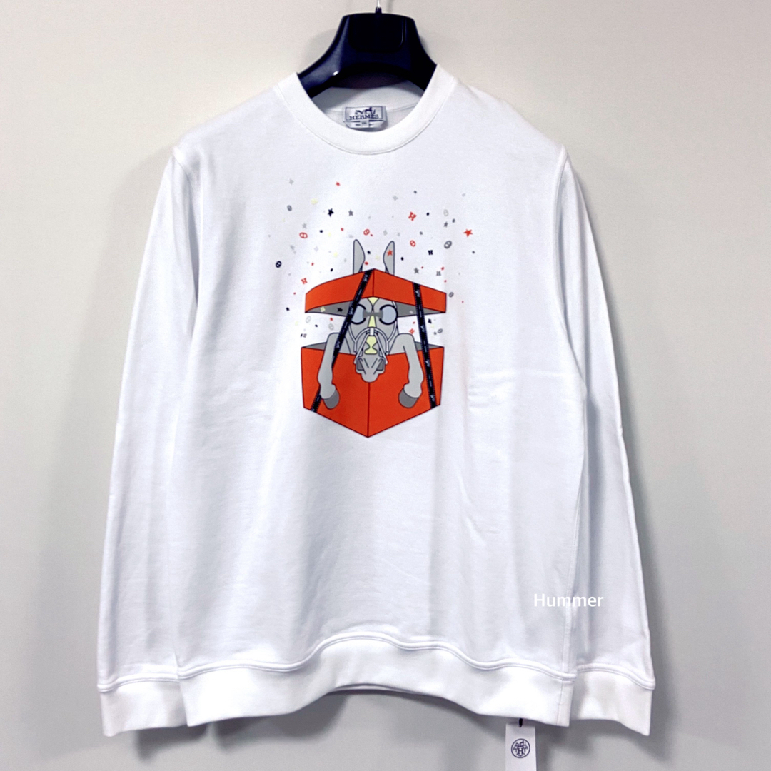 HERMES - 国内正規品 24ss 未使用 XXL エルメス サプライズ HERMES - 国内正規品 24ss 未使用 XXL エルメス サプライズ