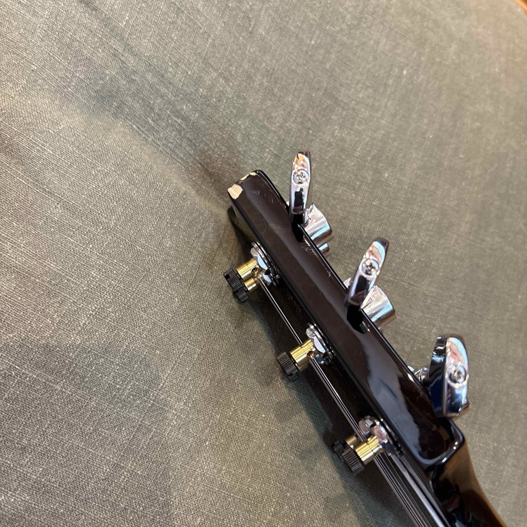 PRS - 【美品!】フルカスタマイズ PRS SE Tremonti PRS - 【美品!】フルカスタマイズ PRS SE Tremonti