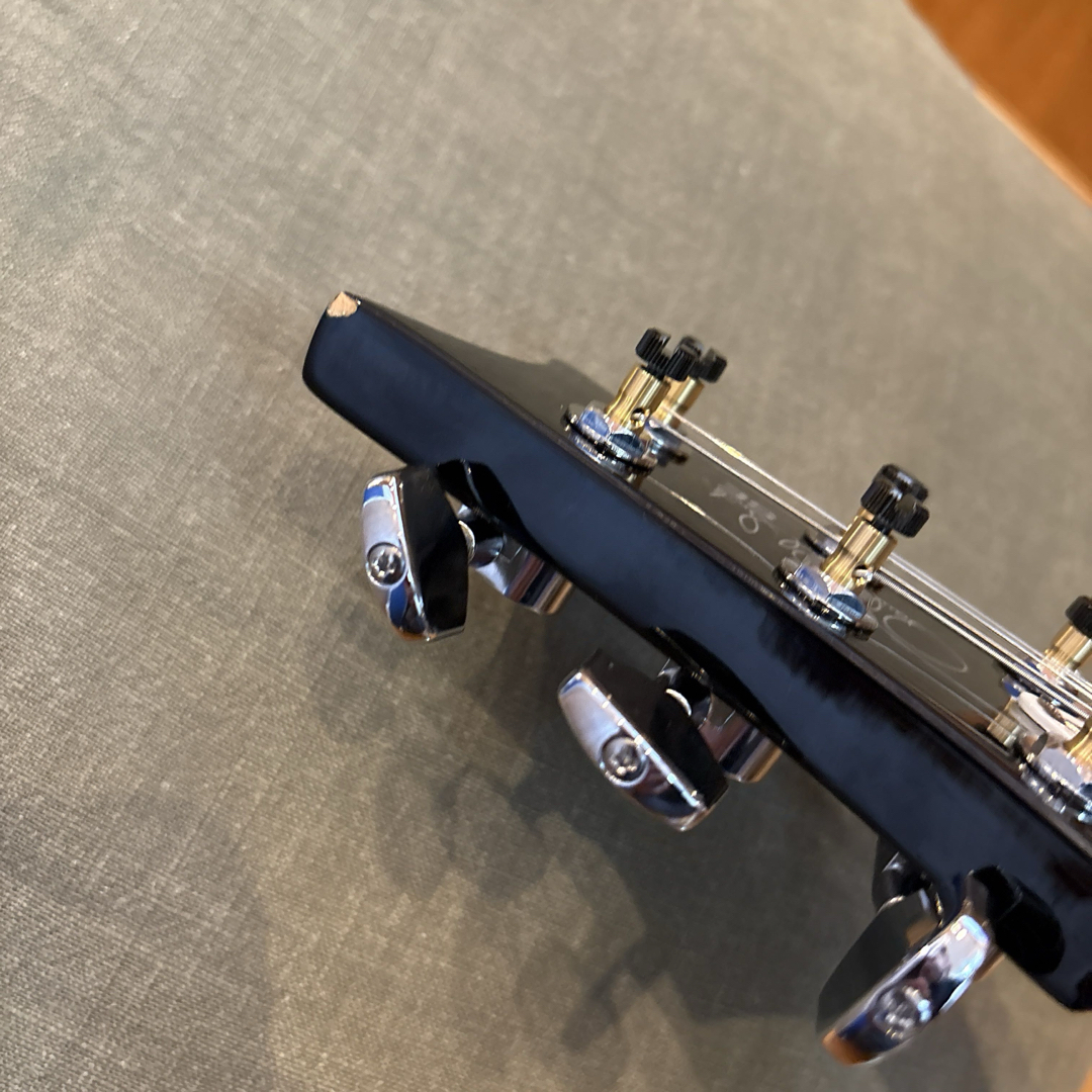PRS - 【美品!】フルカスタマイズ PRS SE Tremonti PRS - 【美品!】フルカスタマイズ PRS SE Tremonti