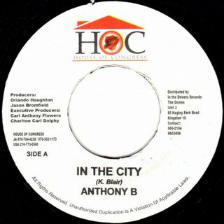 ジャマイカ7” Anthony B / House Of Congress In The City / Rhythm-Stars NONE House Of Congress /00080(その他)