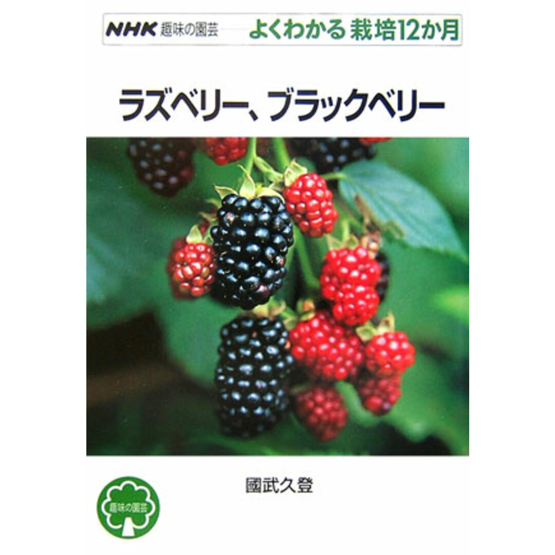 ラズベリ-、ブラックベリ- /NHK出版/國武久登(単行本(ソフトカバー)) エンタメ/ホビーの本(ビジネス/経済)の商品写真