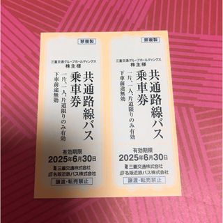 東海汽船株主優待 乗船割引券(35%割引券)2枚の通販 by 東海汽船株主優待 乗船割引券(35%割引券)2枚の通販 by