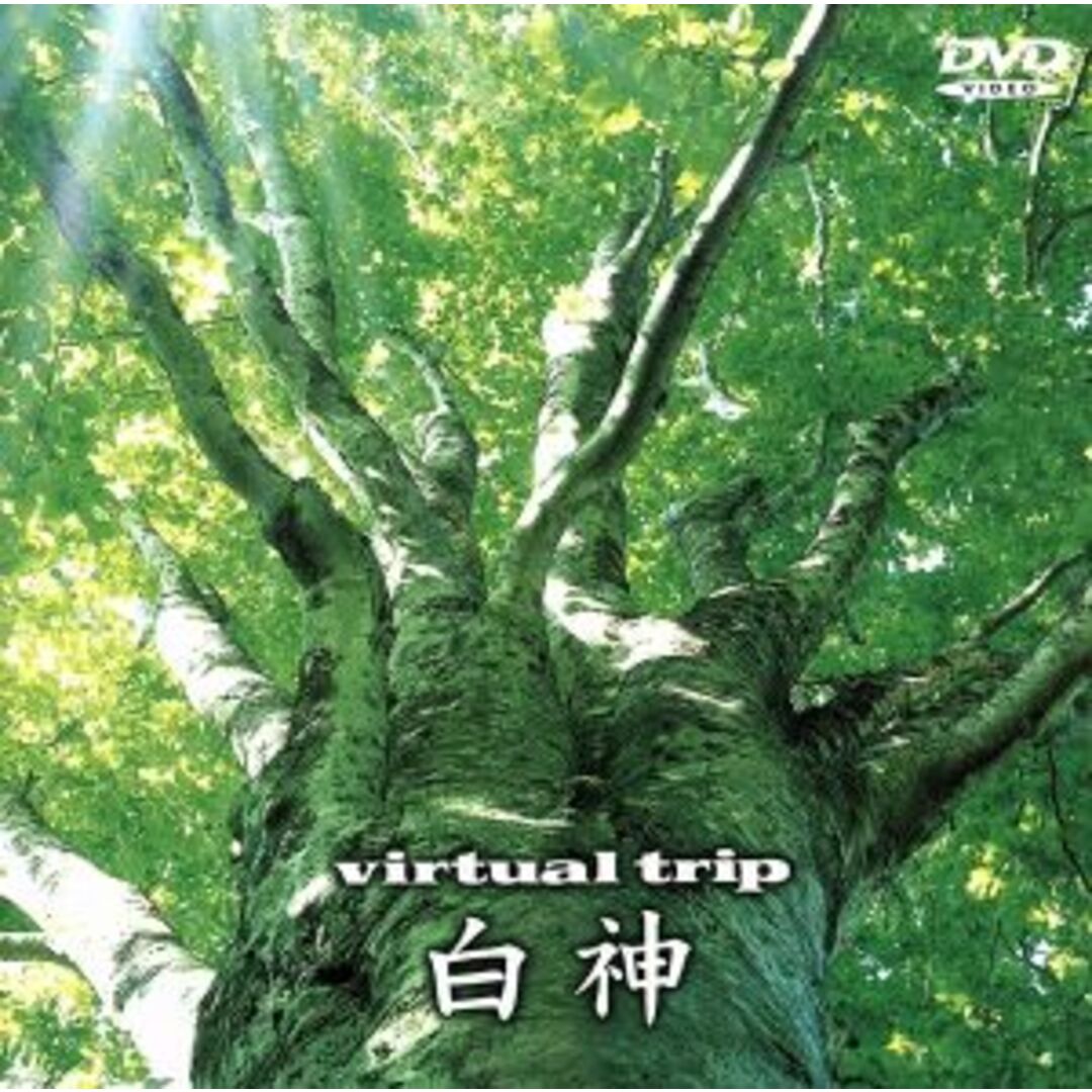 virtual trip 白神 エンタメ/ホビーのDVD/ブルーレイ(ドキュメンタリー)の商品写真