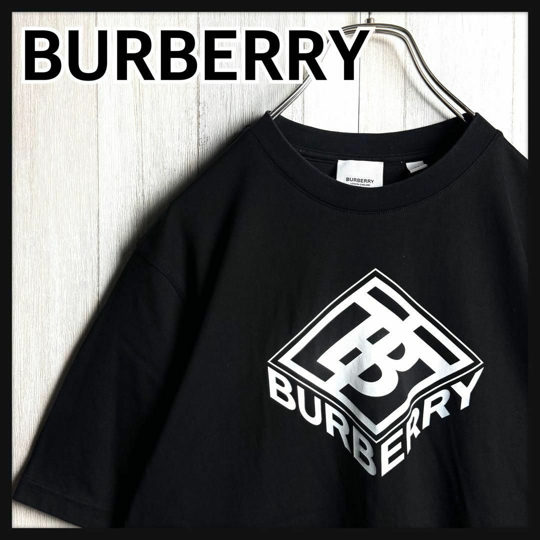 BURBERRY - 2860【人気・美品】バーバリー TBロゴ ボックスロゴ BURBERRY - 2860【人気・美品】バーバリー TBロゴ ボックスロゴ