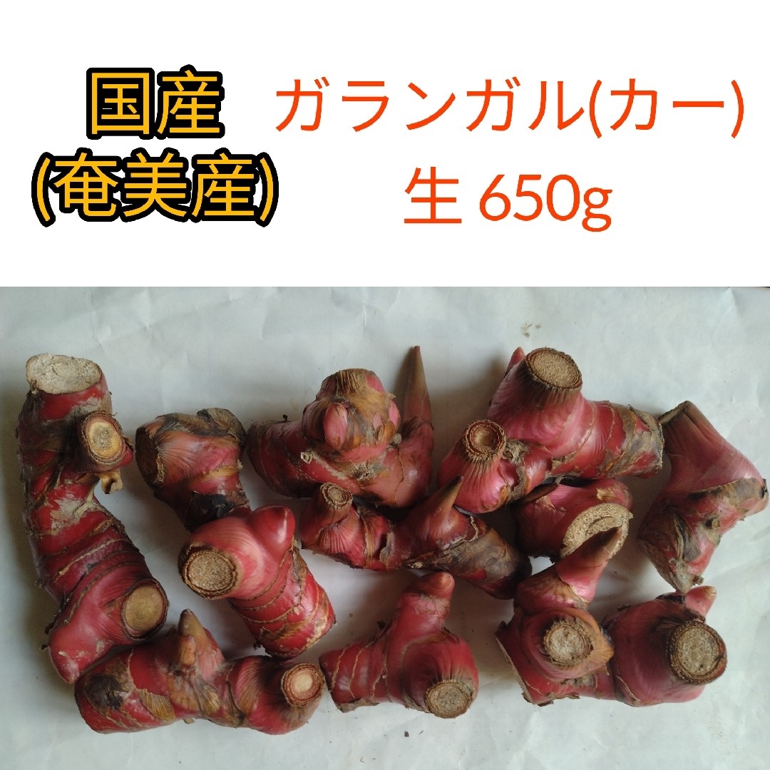 国産 ガランガル (カー) タイ生姜 650g 食品/飲料/酒の食品(野菜)の商品写真