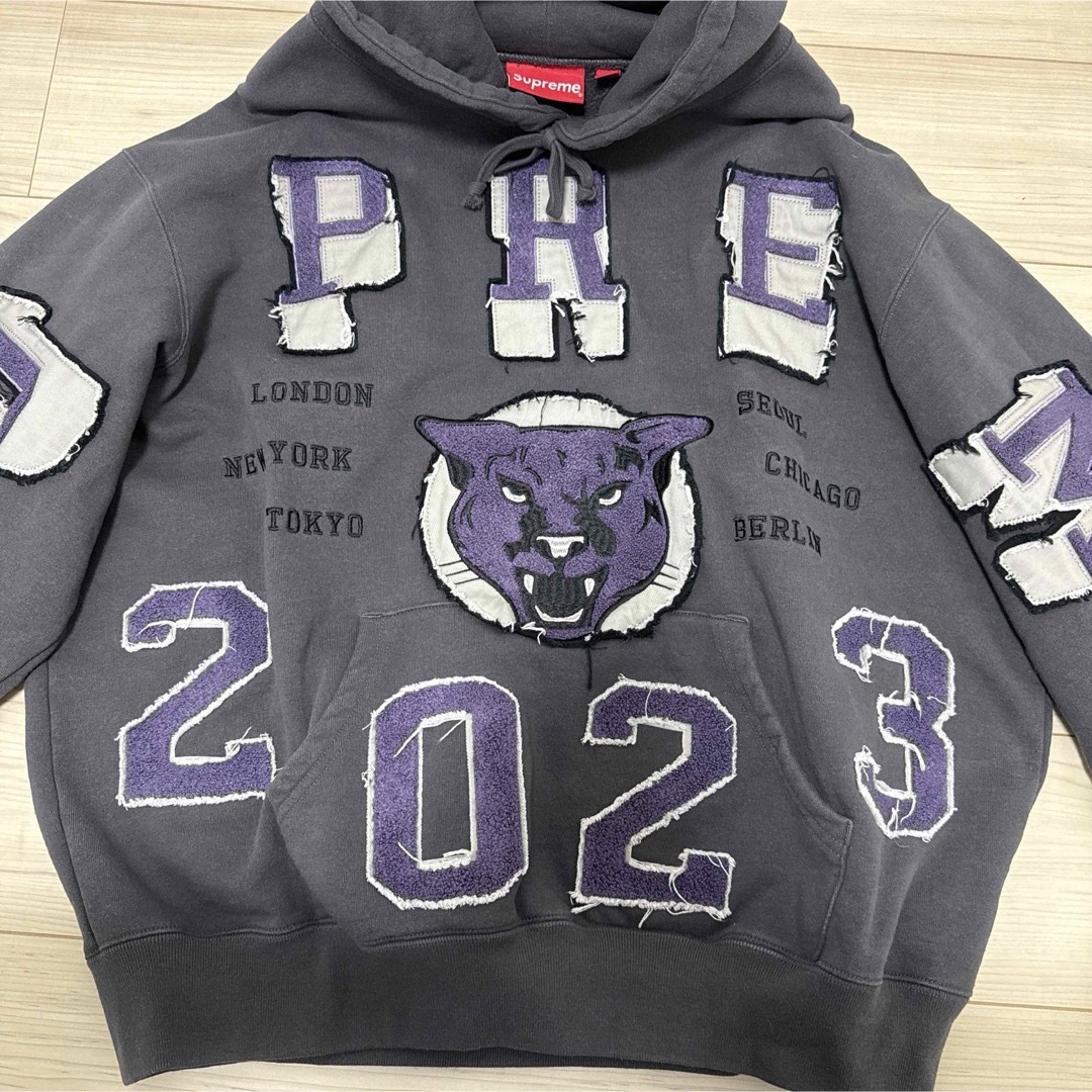 Supreme - Supreme 23FW グレー パンサーフーディ パーカーの Supreme - Supreme 23FW グレー パンサーフーディ パーカーの