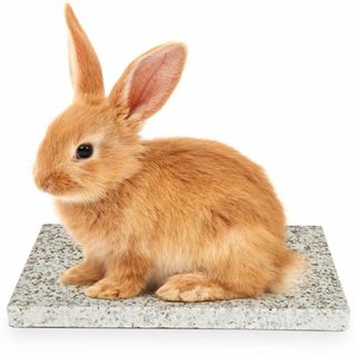 ペットヒンヤリマット ウサギ 涼感マット 魔法の天然石 夏グッズ 熱中症対策(小動物)