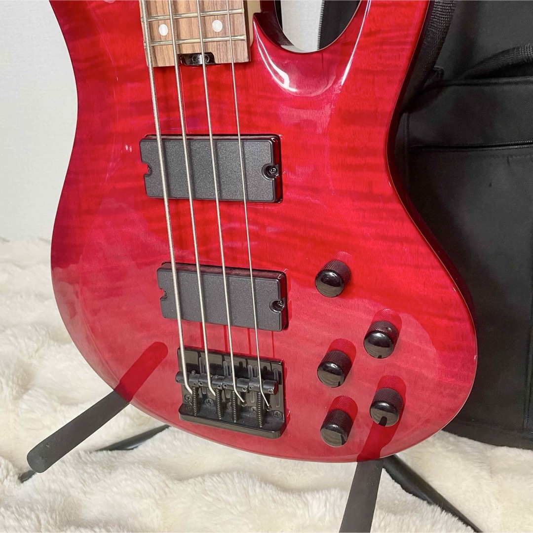 ESP - 【極美品】レア!ESP バンドリ Roselia 今井リサ モデル ESP - 【極美品】レア!ESP バンドリ Roselia 今井リサ モデル