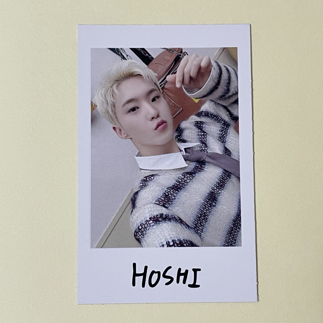 SEVENTEEN(セブンティーン)のSEVENTEEN セブチ ホシ インスタントフォト Holiday エンタメ/ホビーのタレントグッズ(アイドルグッズ)の商品写真