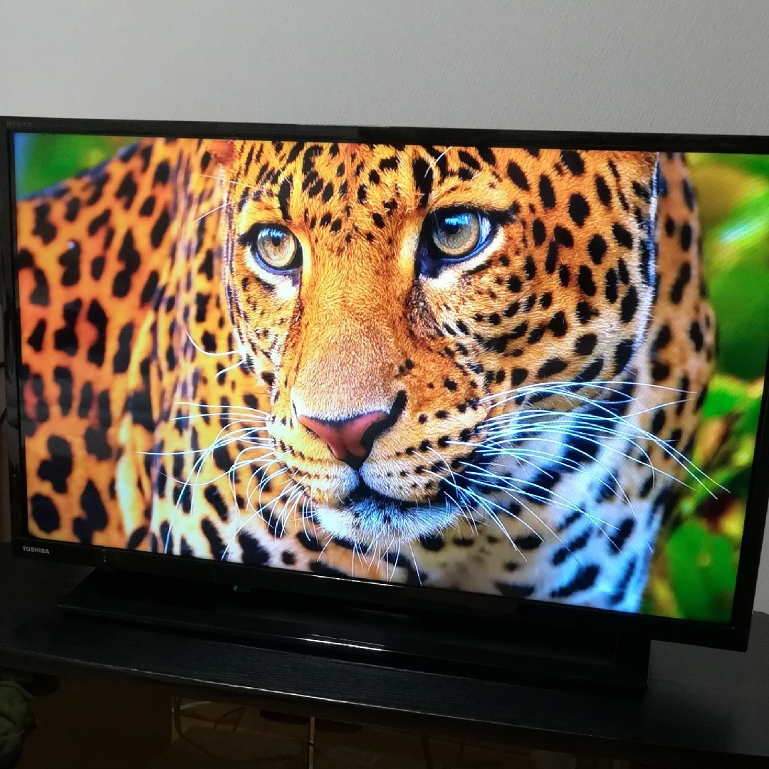 REGZA - 【Fire tv stick付属/すぐ視聴セット】2019年製 東芝 REGZA - 【Fire tv stick付属/すぐ視聴セット】2019年製 東芝