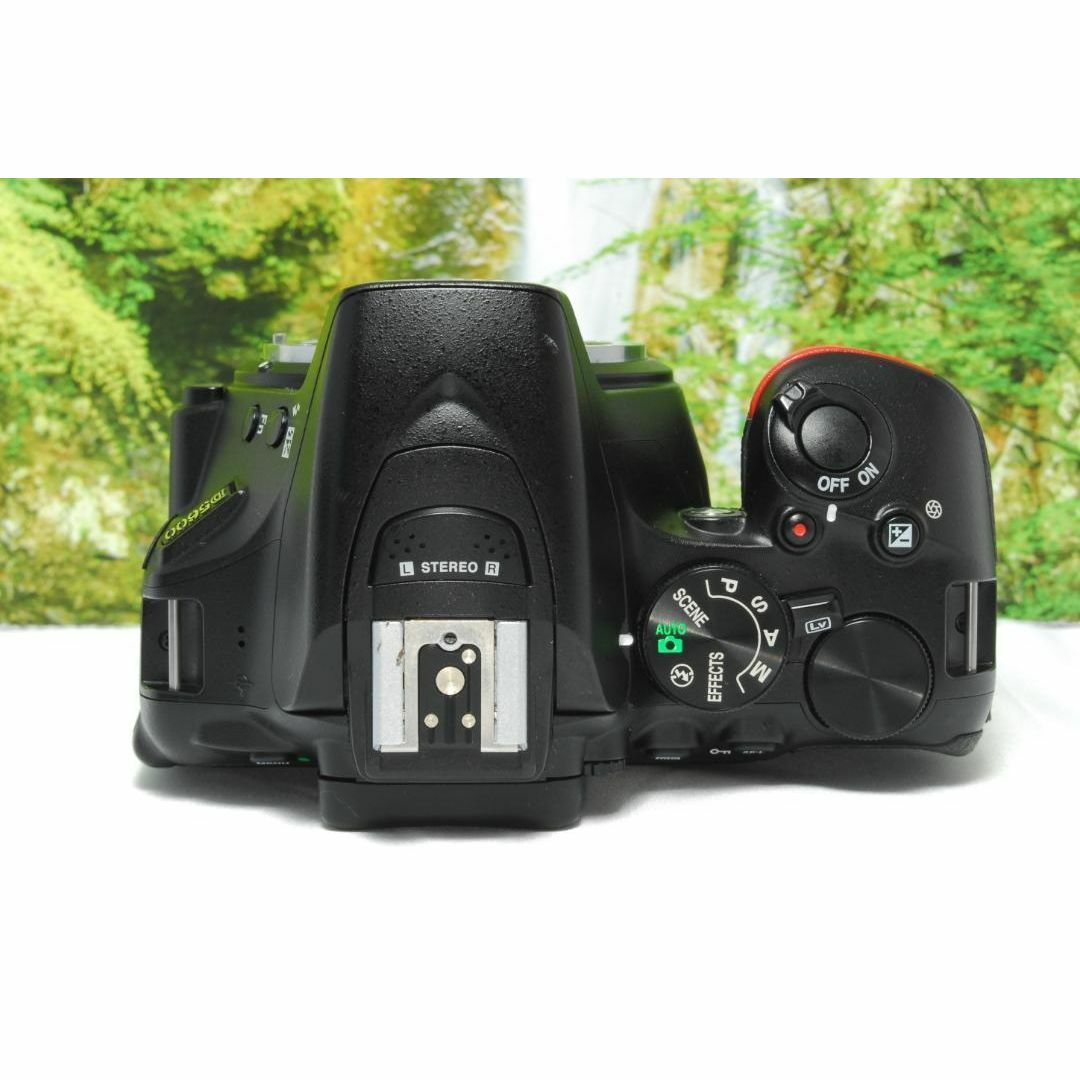 Nikon - ✨ハイスペック入門一眼レフ✨Nikon D5600✨高画質