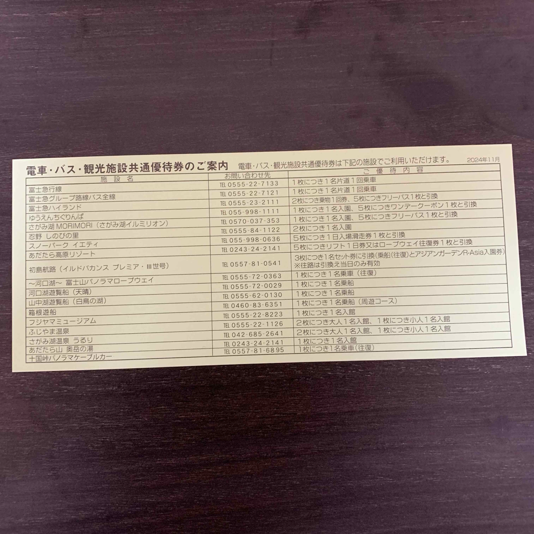 富士急行株式会社 富士急ハイランド 共通優待券20枚 株主優待 富士急行株式会社 富士急ハイランド 共通優待券20枚 株主優待