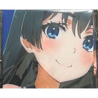 ゼファー400 専用 カラー 付 メッシュフェンダー【ブラック ゼファー400 専用 カラー 付 メッシュフェンダー【ブラック