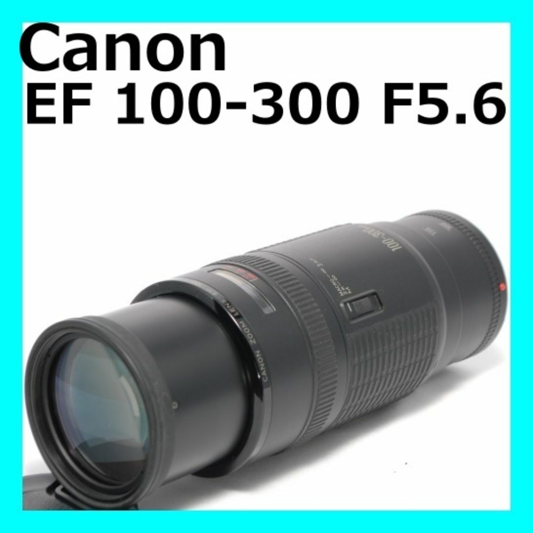 Canon - ✨超絶美品✨F値固定✨Canon EF 100-300 超望遠レンズの Canon - ✨超絶美品✨F値固定✨Canon EF 100-300 超望遠レンズの
