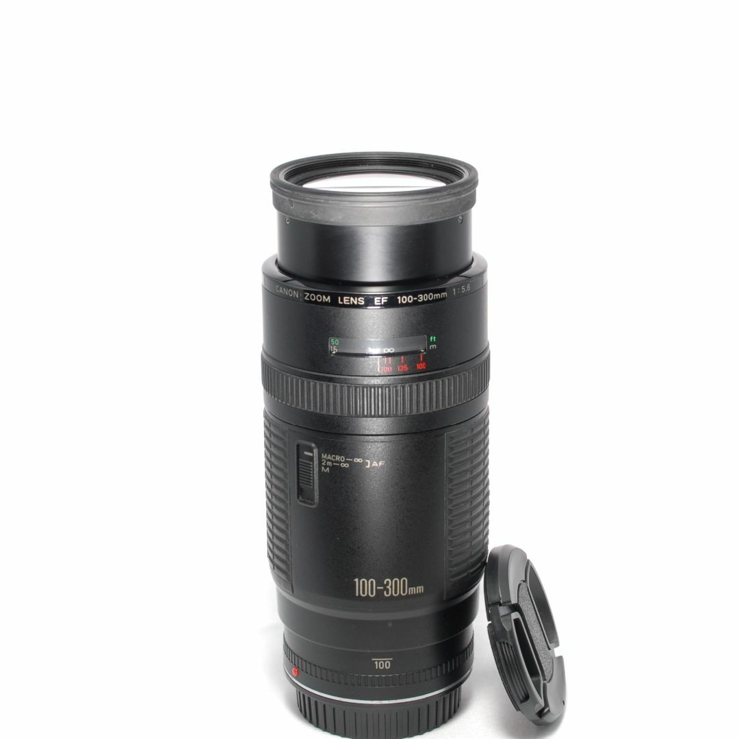 Canon - ✨超絶美品✨F値固定✨Canon EF 100-300 超望遠レンズの Canon - ✨超絶美品✨F値固定✨Canon EF 100-300 超望遠レンズの