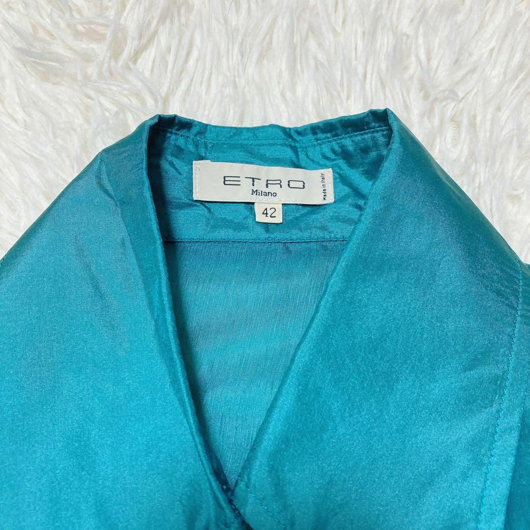 ETRO - 極美品✨ エトロ 大きいサイズ シルクブラウス XL 総柄 ETRO - 極美品✨ エトロ 大きいサイズ シルクブラウス XL 総柄