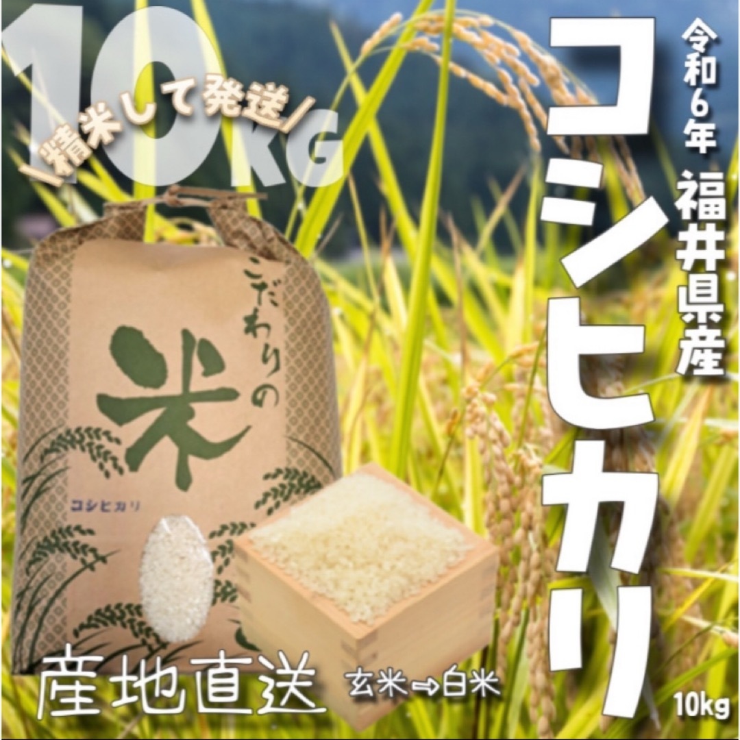 昨日精米】福井県産 コシヒカリ 10kg 令和6年産 白米 9kg 単一 昨日精米】福井県産 コシヒカリ 10kg 令和6年産 白米 9kg 単一