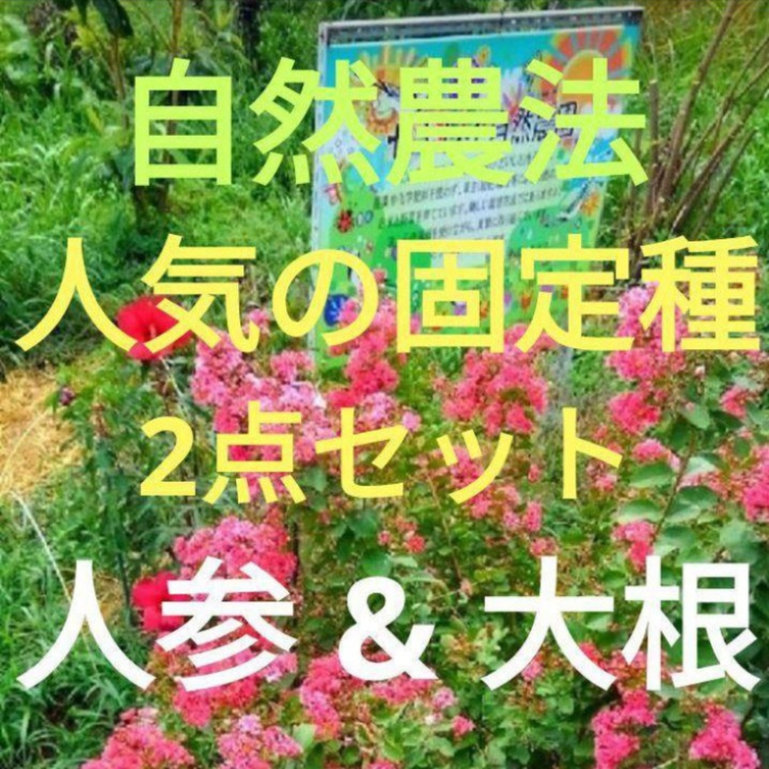 自然農法 人気の固定種2点セット(人参&大根) 食品/飲料/酒の食品(野菜)の商品写真