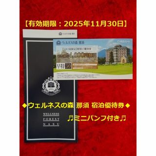 キョウリツ(共立)の共立メンテナンス ウェルネスの森 那須 宿泊優待券+ミニパンフ(11/30迄)(宿泊券)