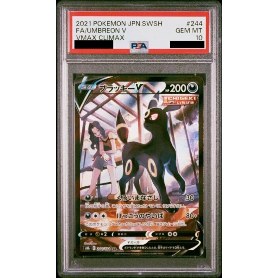 ポケモン(ポケモン)の【PSA10】ブラッキーV CSR 244/184 エンタメ/ホビーのトレーディングカード(シングルカード)の商品写真