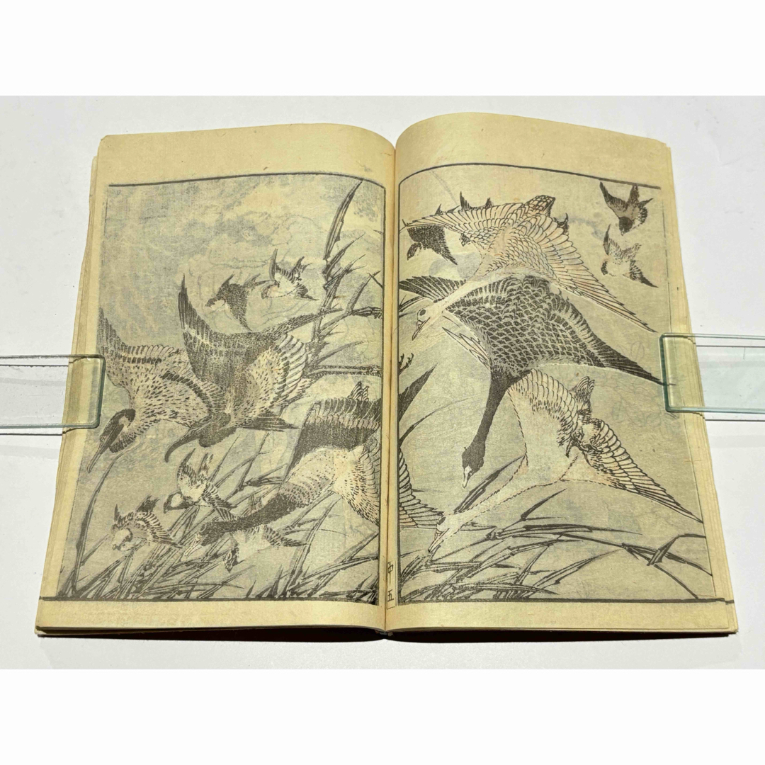 北斎画譜 中巻」葛飾北斎 明治期刊 1冊|和本 古典籍 浮世絵 の 北斎画譜 中巻」葛飾北斎 明治期刊 1冊|和本 古典籍 浮世絵 の