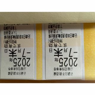 近畿鉄道乗車券  2枚(鉄道乗車券)