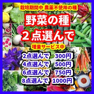 スーパーセール】青森県産 にんにく L 10kg 福地ホワイト 加工 スーパーセール】青森県産 にんにく L 10kg 福地ホワイト 加工