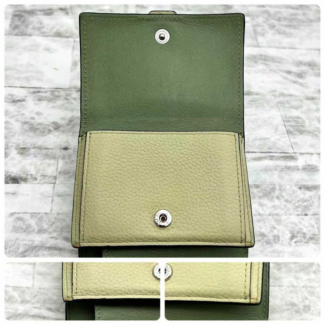 LOEWE - ☆極美品☆ロエベ トライフォールド ウォレット LOEWE - ☆極美品☆ロエベ トライフォールド ウォレット