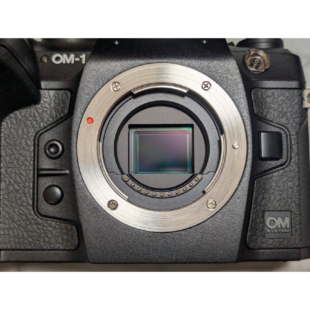 OM Digital Solutions - シャッター1,500回以下 極美品 OM OM Digital Solutions - シャッター1,500回以下 極美品 OM