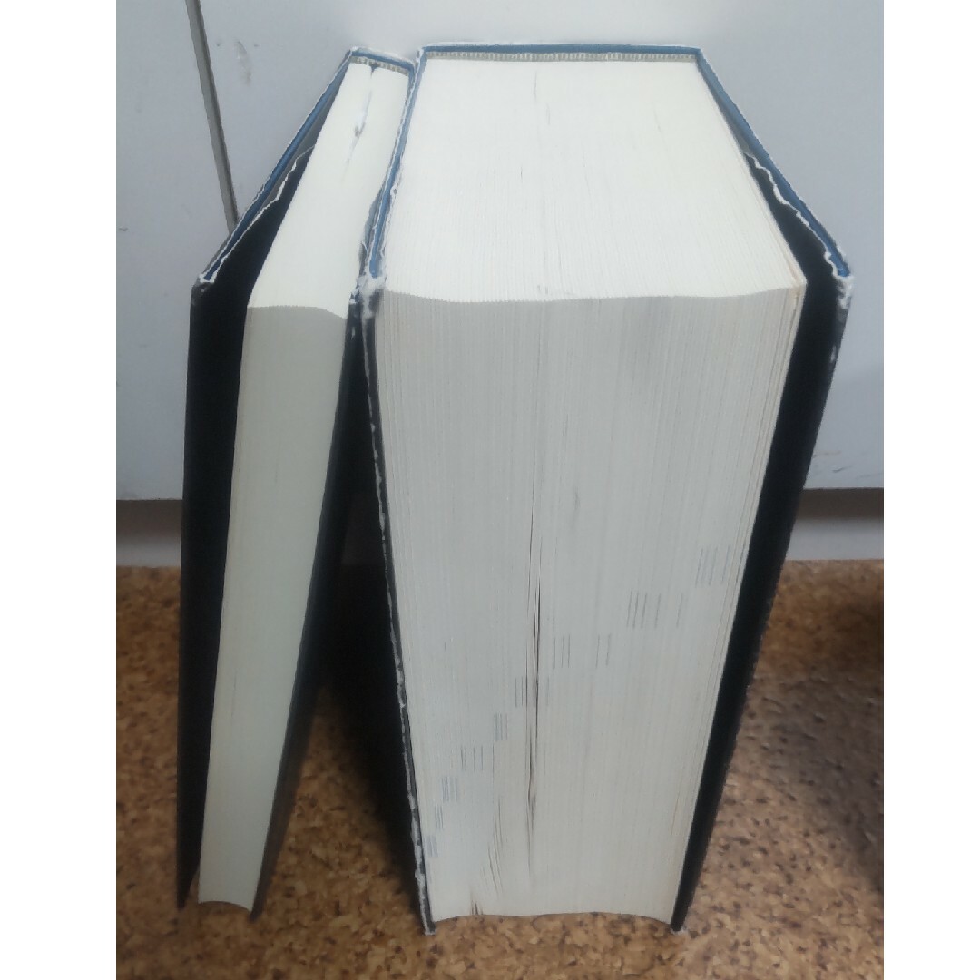 岩波書店 - 広辞苑普通版第七版の通販 by じゅんぺー's shop 岩波書店 - 広辞苑普通版第七版の通販 by じゅんぺー's shop
