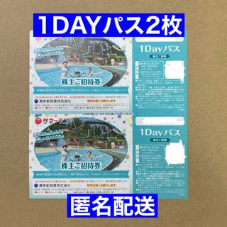 ナガシマスパーランド パスポート2枚セットの通販 by fしろくん ナガシマスパーランド パスポート2枚セットの通販 by fしろくん