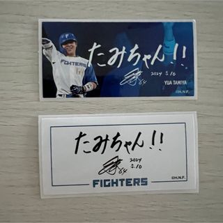 北海道日本ハムファイターズ - 北海道日本ハムファイターズ 松本 北海道日本ハムファイターズ - 北海道日本ハムファイターズ 松本