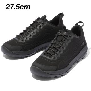 THE NORTH FACE - VANS ノースフェイスコラボオールドスクール THE NORTH FACE - VANS ノースフェイスコラボオールドスクール